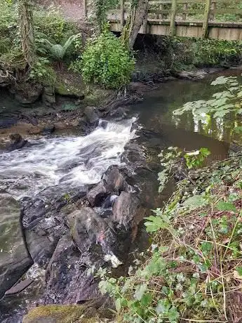 Photo de Cobbs Clough