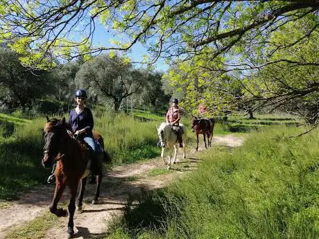 Photo de Reiten in Andalusien - Al-Natoura Horse Riding