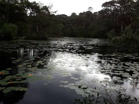 Bystock Fishponds