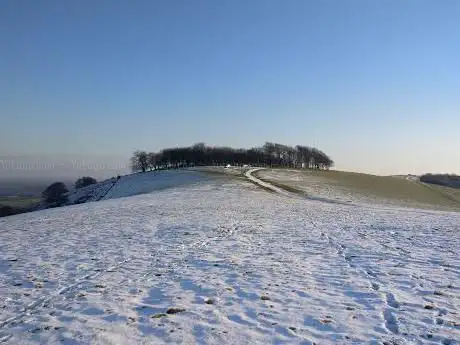 Chanctonbury Ring
