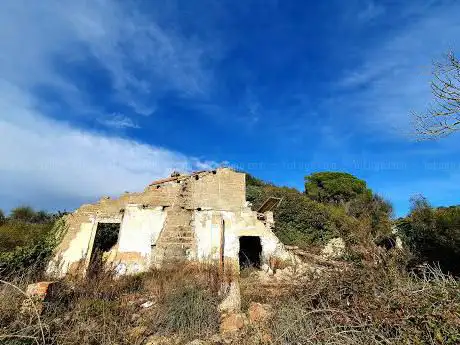 Can Faixero