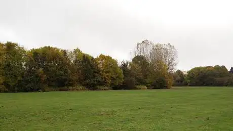 Photo de Local Park Cazzers