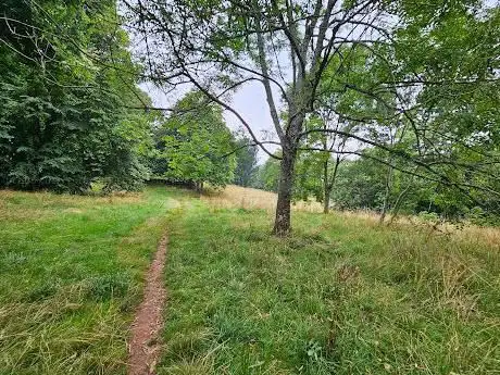 Oaklands Park