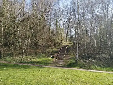 Photo de Lousehill Copse