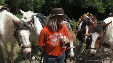 Photo de Paint Horse Ranch