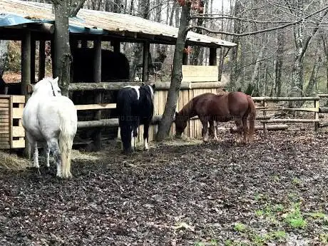 Photo de Ranch BubaÄ
