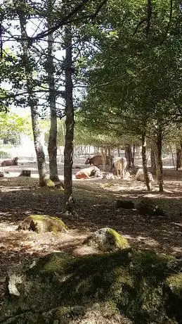 area picnic di Sa Minda