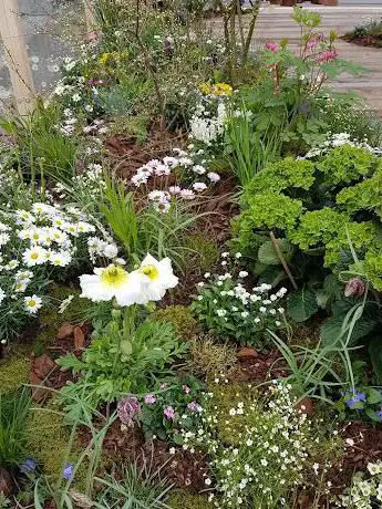 Photo de Fabians Gartenpflege Oezdemir