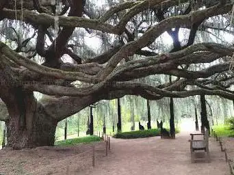 Photo de Parc de la Vallée aux Loups
