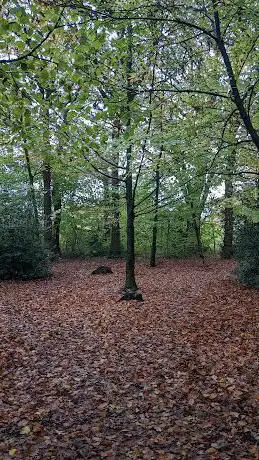 Stockham Wood