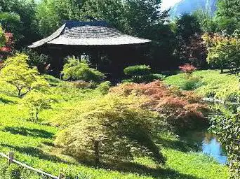 Photo de Bambusgarten