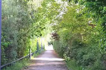 Parc de Roselières