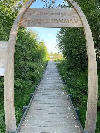 Photo de Mammoth Tower Viewing Platform
