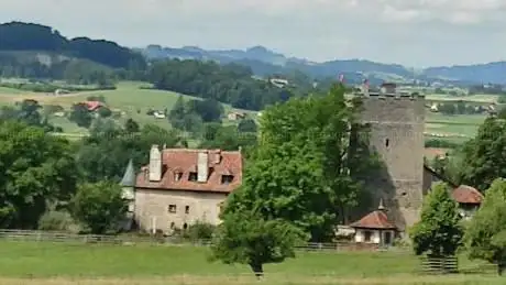 Petit-Vivy Castle