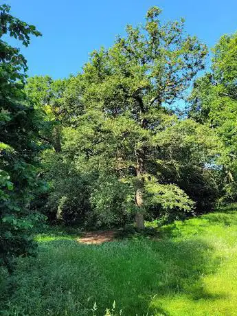 Photo de Maryon WIlson Park