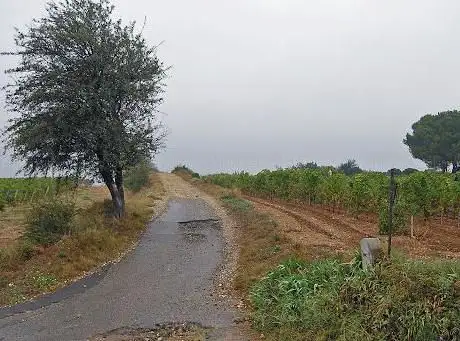 Photo de Randonnée de la Via Domitia