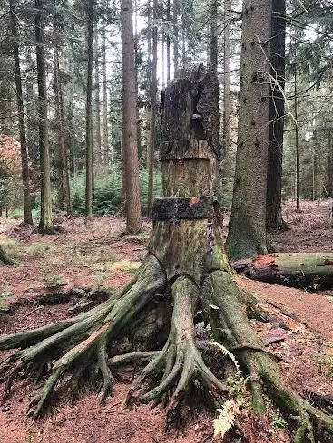 ArTboretum de Mefferscheid