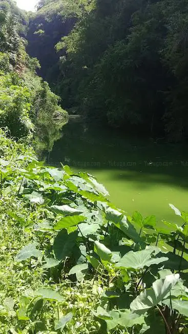 Bassin bernica