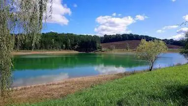 Photo de Lac de La Chêneraie