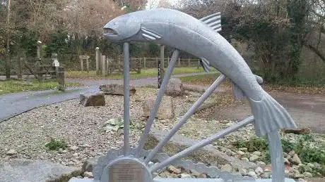 Return of the Salmon