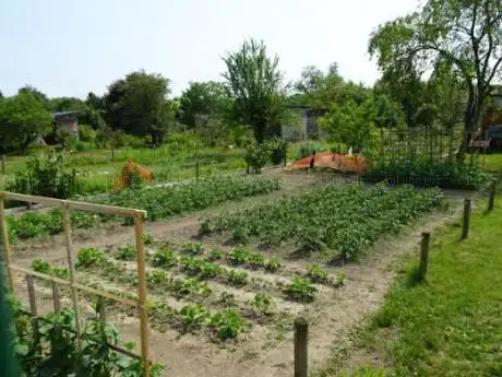 Rodrigo's Garden