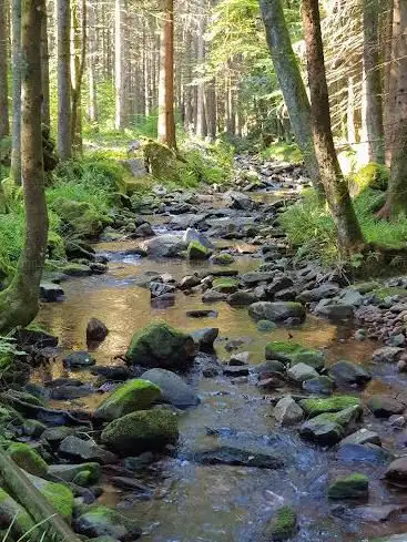 Wildgehege Ellbach