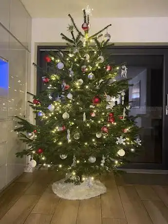 Photo de Brighton Christmas Trees