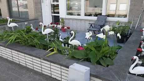 Mooie tuin