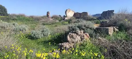 Ruderi Villa Dol