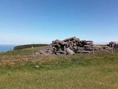 Old Burrow Roman fortlet