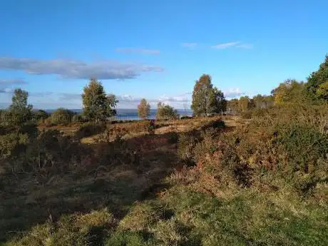 Photo de Poor's Allotment Nature Reserve