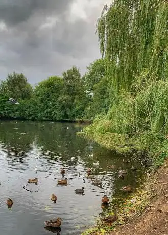 Photo de Tudor Grange Park Lake