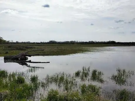 Photo de Réserve naturelle régionale Terres et étangs de Brenne  Massé, Foucault
