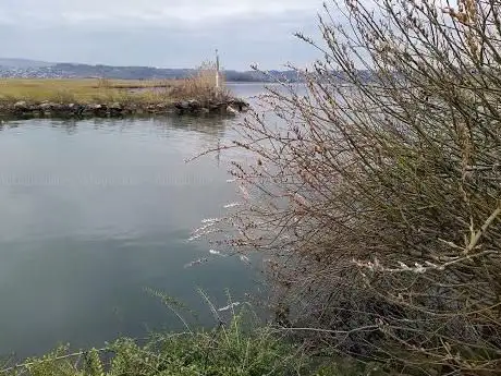 Frauenwinkel Naturschutzgebiet