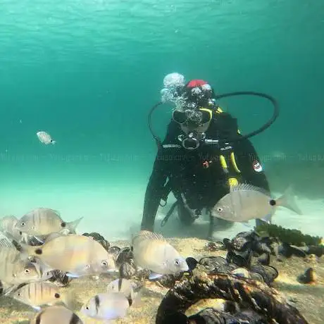 Buceo RÃÂas Baixas