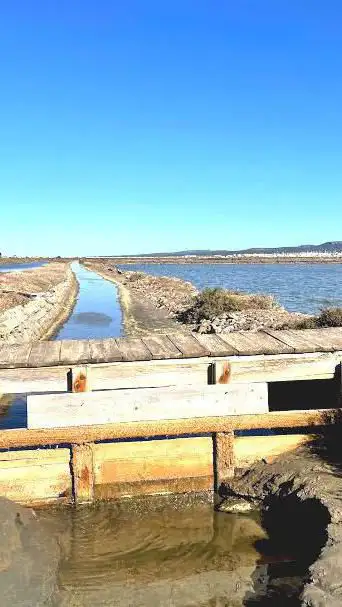 Photo de Station de pompage des salins de Gruissan