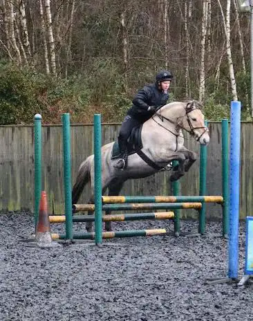 Photo de Greatham Equestrian Centre