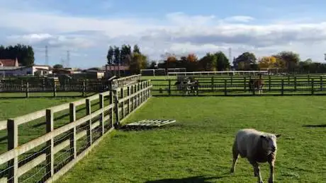 Beetle Bank Farm