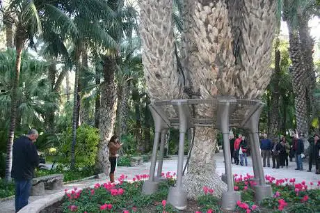 Photo de Hort de Sant Plàcid
