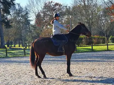 Photo de Villeneuve Equitation