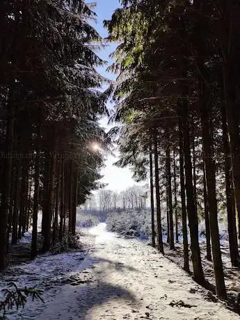 Chemin Blanc