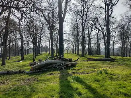 King's Nympton Park