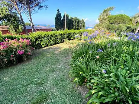 Roseto Luigi Viacava