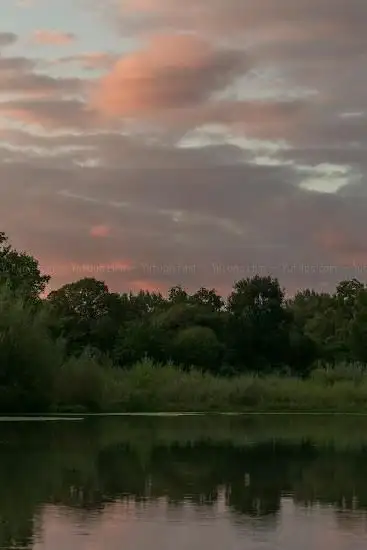 Réserve naturelle de l'Ile du Rhin