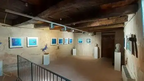Location Camponovo (Area Museale)