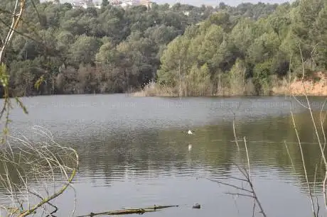 Photo de Llac gravera d'Ullastrell