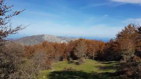 Photo de Bosco di Mangalaviti