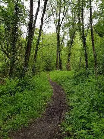 Photo de Oussère Woods