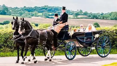 Photo de D K Carriage Horses - Horse-drawn Carriage Hire