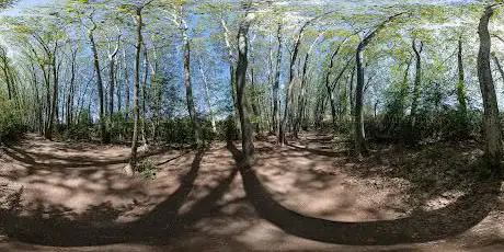 Photo de Zones humides de Can Salvi